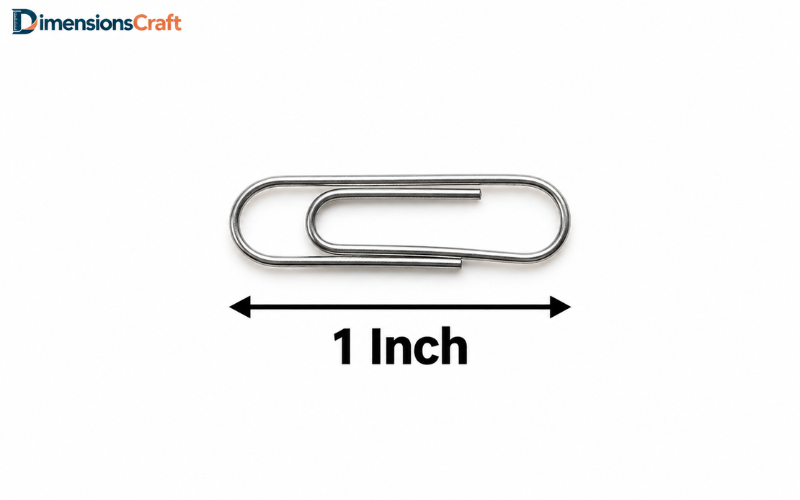 How Long is 1 Inch