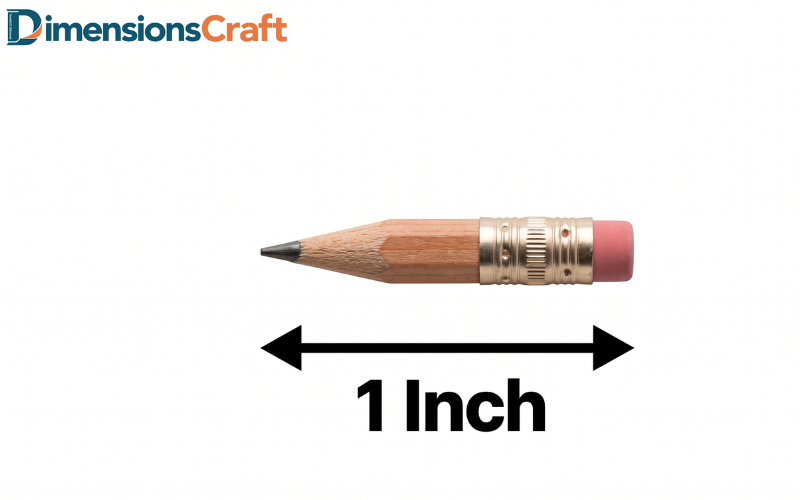 How Long is 1 Inch