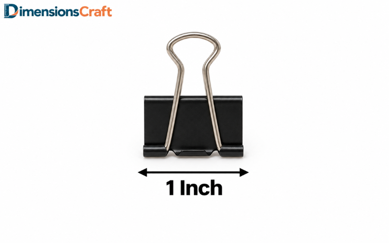 How Long is 1 Inch