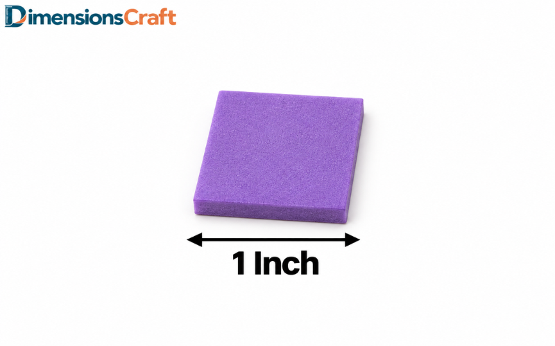 How Long is 1 Inch