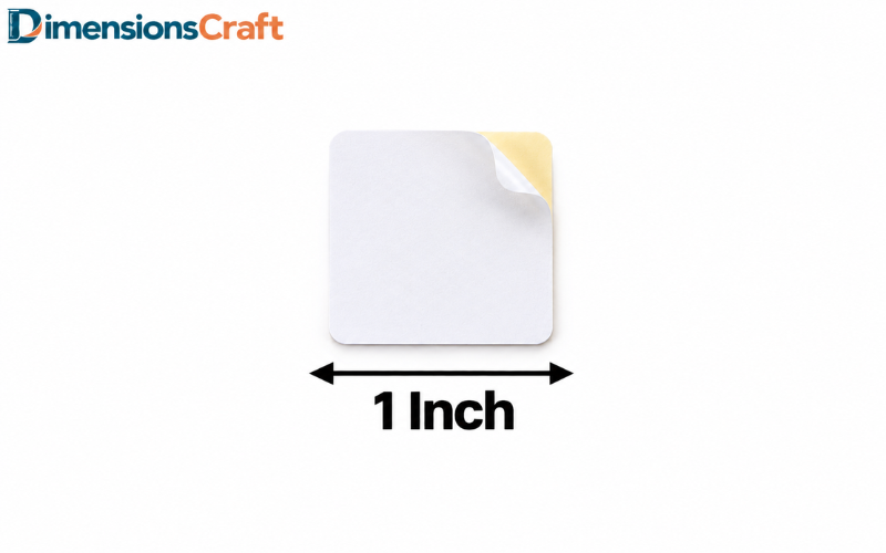 How Long is 1 Inch