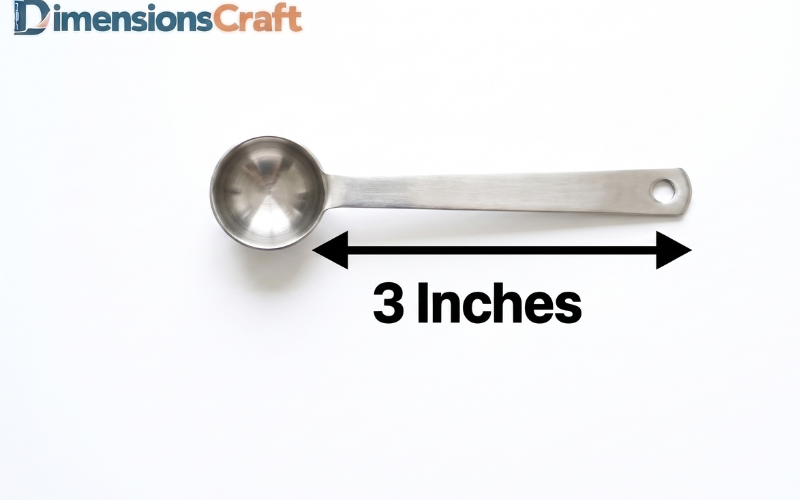 How Long is 3 Inches