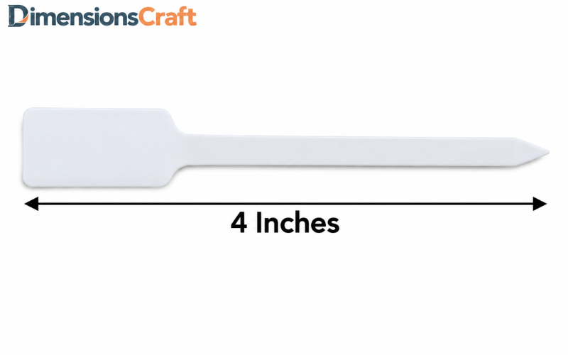 How Long is 4 Inches