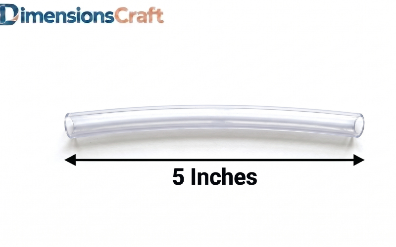 How Long is 5 Inches