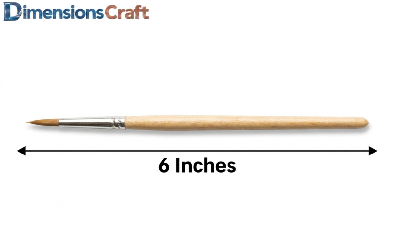 How Long is 6 Inches