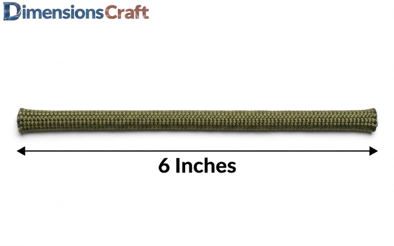 How Long is 6 Inches