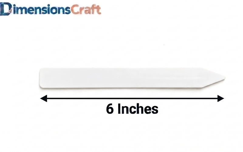 How Long is 6 Inches